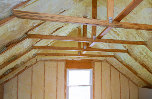 Best Cellulose Insulation  in Williamston, NC