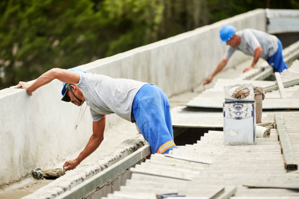 Best Local Insulation Services  in Williamston, NC