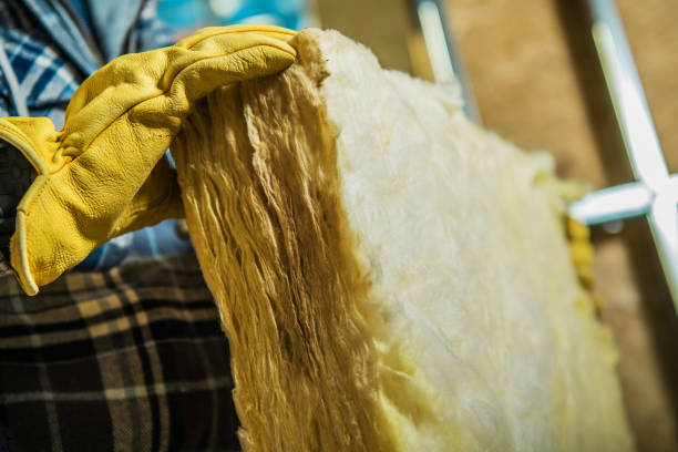 Insulation Repair Services in Williamston, NC