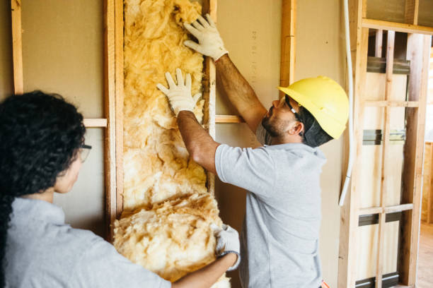 Best Best Insulation Companies  in Williamston, NC