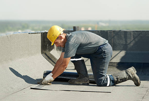 Best Attic Insulation Installation  in Williamston, NC