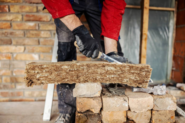 Best Insulation Contractor Near Me  in Williamston, NC