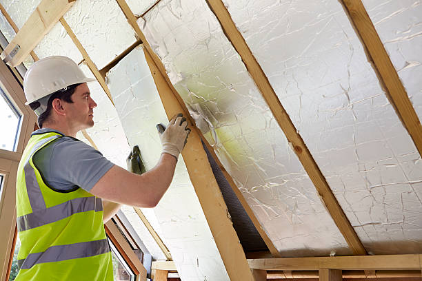 Best Garage Insulation Installation  in Williamston, NC