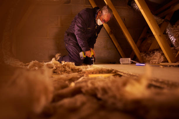 Best Cellulose Insulation  in Williamston, NC